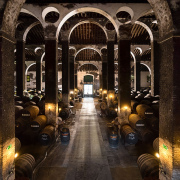 Sanlúcar, historia, naturaleza, Manzanilla y marisco