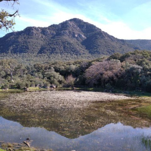 La Laguna del Picacho